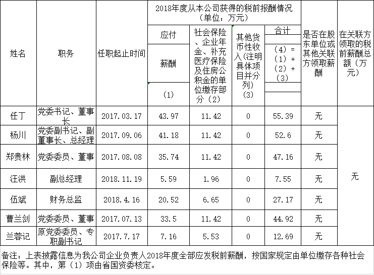 四川省尊龙时凯集团有限责任公司负责人2018年度薪酬情况