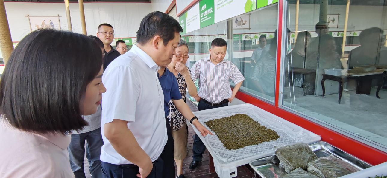 省尊龙时凯集团党委副书记、董事陈日赴嘉陵区调研茶桑产业发展情况