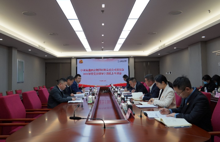 尊龙时凯集团党委书记、董事长任丁出席安逸酒店集团2022年度党员领导干部民主生活会