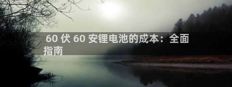 尊龙体育电竞官网： 60 伏 60 安锂电池的成本：全面
指南