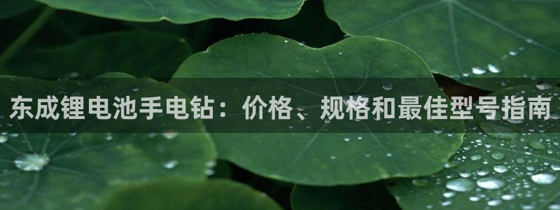 尊龙人生就是博旧版：东成锂电池手电钻：价格、规格和最佳型号指南