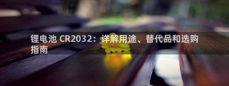 尊龙凯时口碑好吗：锂电池 CR2032：详解用途、替代品和选购
指南