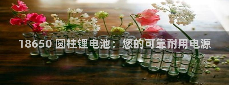 尊龙凯时v7要冲多少：18650 圆柱锂电池：您的可靠耐用电源