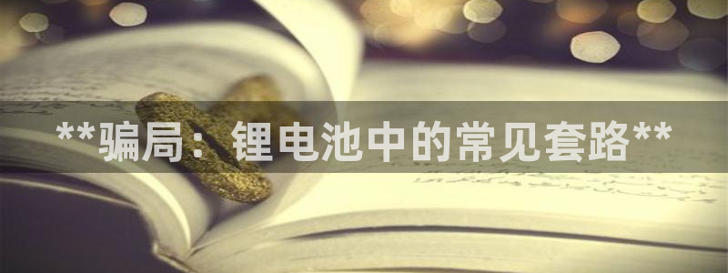 尊龙凯时麻将胡了：**骗局：锂电池中的常